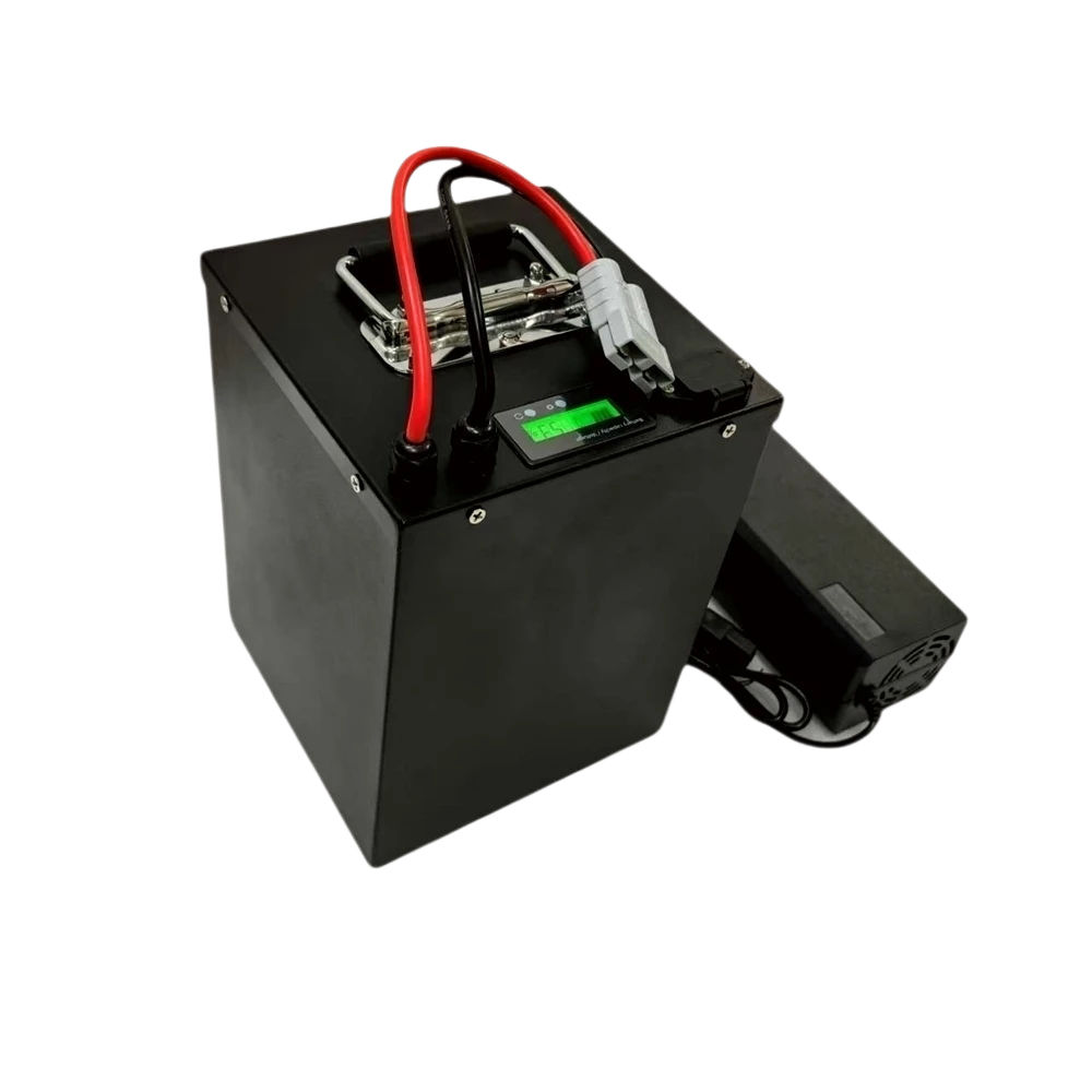 60V 25Ah 30Ah 40Ah 80Ah 100Ah  - 72V 40Ah Lifepo4 Battery Pack のレビューと価格